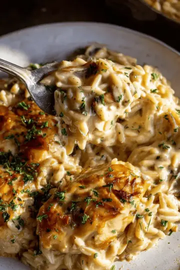 Crockpot Creamy French Onion Chicken and Orzo